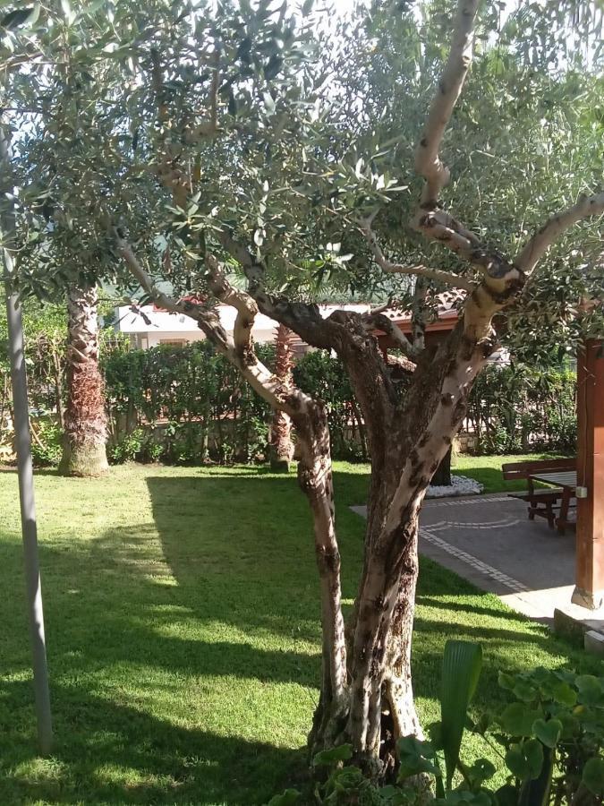 Villa Agata Forchia Eksteriør billede